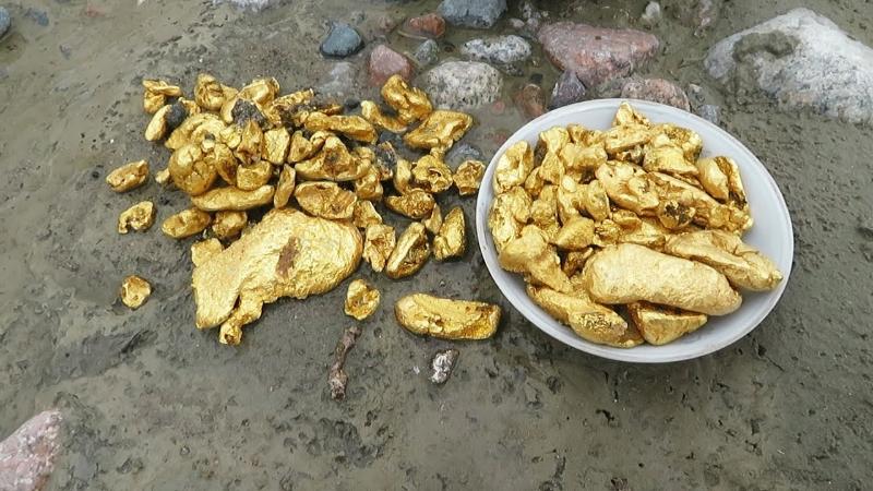 Gold panning in the streams that flow into the Kuluck River in the
