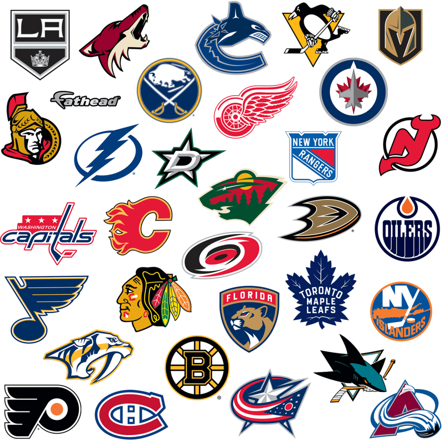 which nhl team was named for a disney movie