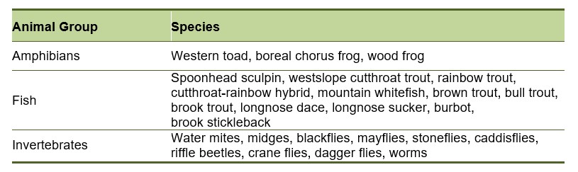 Worms Map Database - Maps - Green Hill Zone Act 2