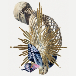 Artwork by Cass Brown
