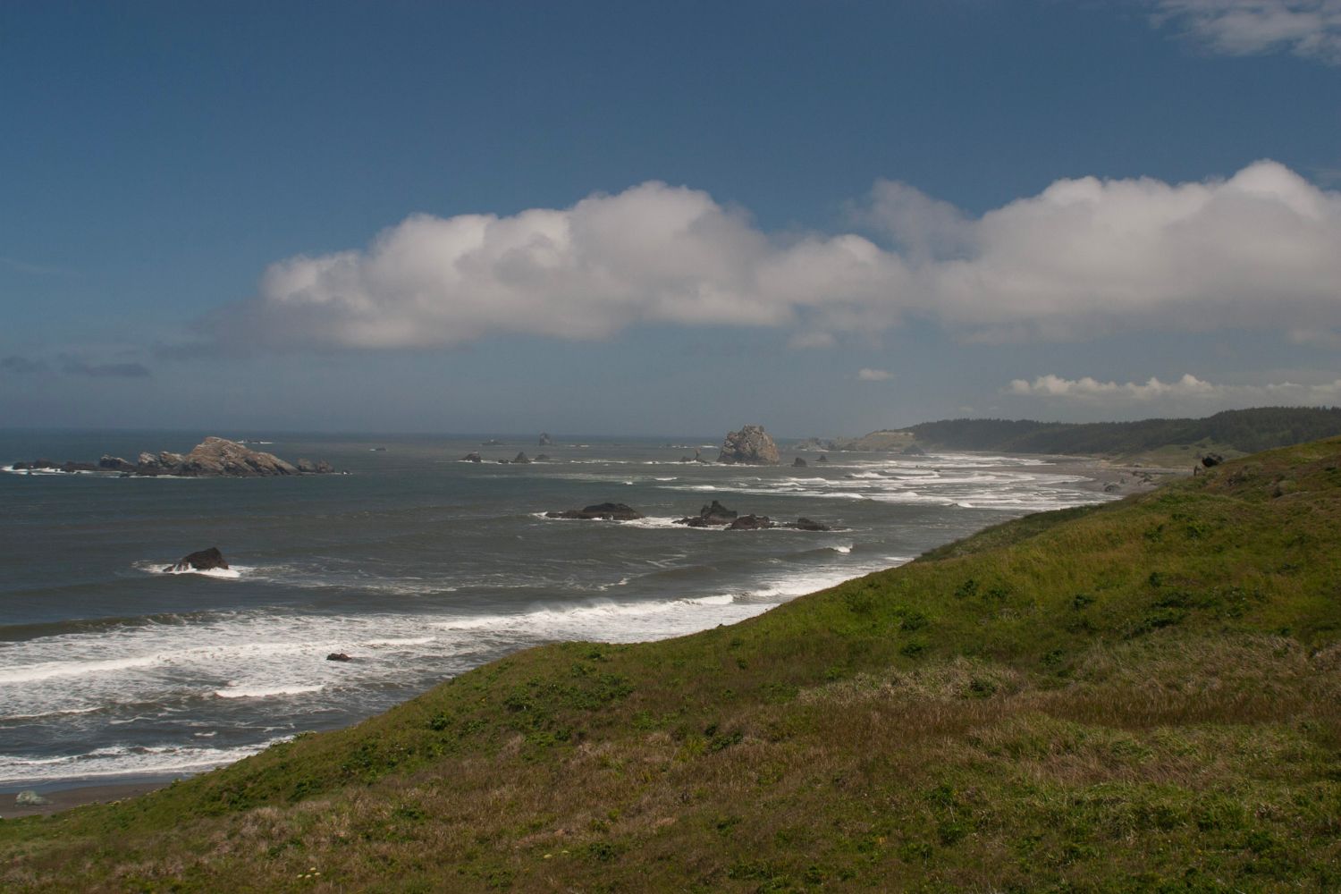 Territorial Sea Plan Rocky Shores Management Strategy