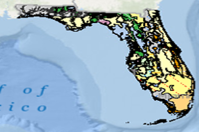 Florida Stratigraphic Geology Florida Department Of