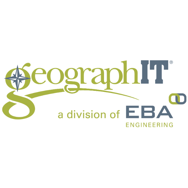 GIS Professional Services