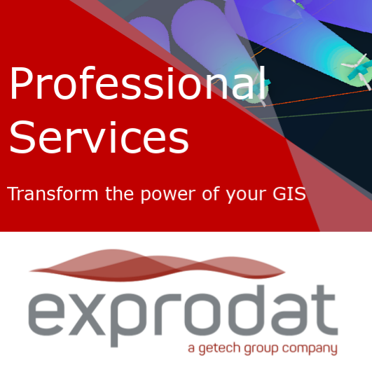 Professional Services for ArcGIS