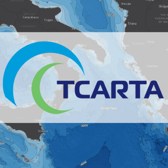 TCarta Global Marine Basemap